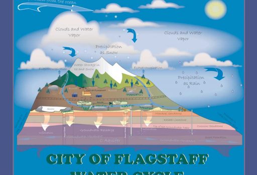 Poster of Water Cycle